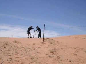 1.	Jon Rose and Hollis Taylor bowing a fence in the Strzelecki Desert, south-west Queensland, 2004. Image courtesy Hollis Taylor and Jon Rose. Photograph by Jon Rose. 